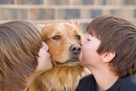 In addition to donating 5 million meals to pets in need through iams™ bowls of love, we've compiled downloadable materials that will enhance your adoption events. Special Valentines Day Pet Adoption Event In Saginaw ...