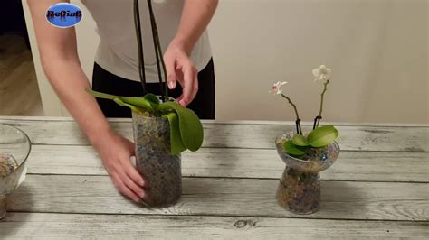 This tutorial demonstrates how to make water beads. How to Plant Orchids with Water Beads: Step by Step ...