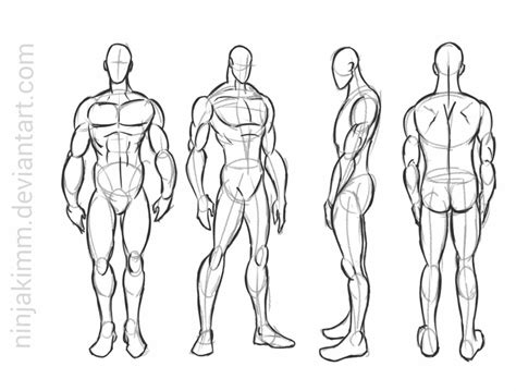 See more ideas about anatomy reference, anatomy drawing, anatomy sketches. male standing pose (commission sketch) by ninjakimm on DeviantArt