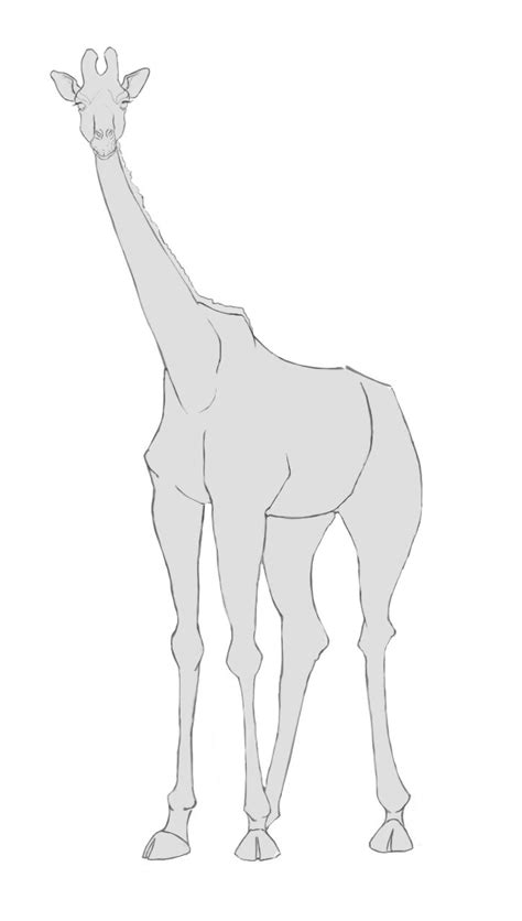 Voir plus d'idées sur le thème coloriage girafe, coloriage, coloriage animaux. Comment dessiner une girafe en 2020 | Girafe dessin ...