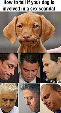 Jokes about husbands, wives, weddings and marriage. Cheating on Your Wife? How Not to Get Caught | Funny dog ...