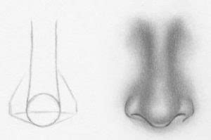 How to draw a nose step by step for beginners. How to Draw a Nose for beginners