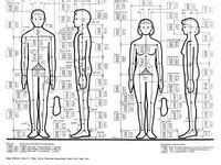 Once you have cut your fabric to size lay it down on your workspace face up. 34 Anthropometric data ideas | human dimension, how to ...