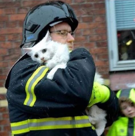 Illinois state licensed—non profit—no kill. Firemen Rescue A Litter Of Puppies, But Then Realize They ...