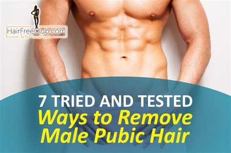 Nobody wants nicks and cuts, but it's especially important to avoid them when shaving…sensitive areas. Types Of Pubic Hair Cuts Men / Pubis Stock Vectors ...