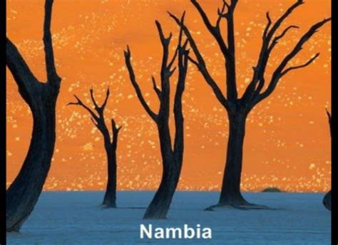 Its preferred habitat is the deep dry sandy soils in parts of south africa, botswana, the western areas of zimbabwe and namibia. 17 Unbelievable Deleted Scenes From Famous Movies That ...