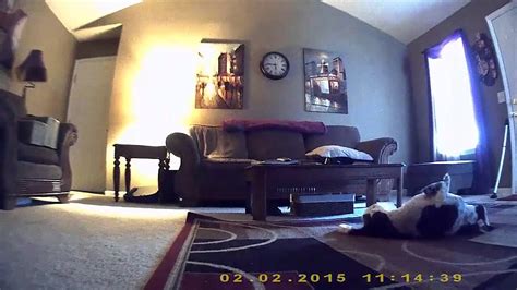 2 years ago 04:55 hclips hidden, girlfriend. Bluetooth Speaker Covert Camera | Hidden Cam Motion ...