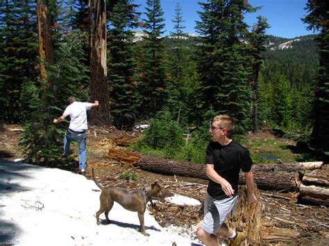 Dog friendly backpacking near San Francisco Bay Area ...