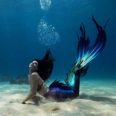 Meerjungfrauen werden nur als fabelwesen abgestempelt, doch gibt es sie auch in wirklichkeit? 875 besten mermaids Bilder auf Pinterest | Meerjungfrauen ...