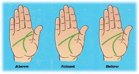 The art of palmistry uses the similarities and differences between hands to establish facts and to make predictions. How To Read Your Own Palm Lines ===> | Palmistry, Palm reading, Palm reading charts
