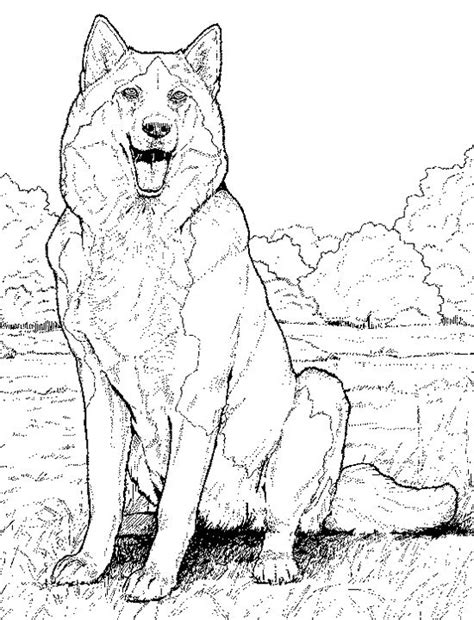 The siberian husky is a sled dog of medium size. Free Realistic Puppy Coloring Pages, Download Free Clip ...