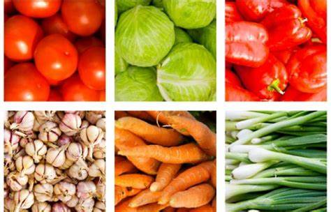 Высокобелковая диета при онкологии меню Продукты против рака - правильное питание при онкологии Продукты против рака - правильное питание при онкологии Высокобелковая диета при онкологии меню
