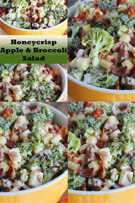 Record and instantly share video messages from your browser. HONEYCRISP APPLE & BROCCOLI SALAD RECIPE,HONEYCRISP APPLE ...