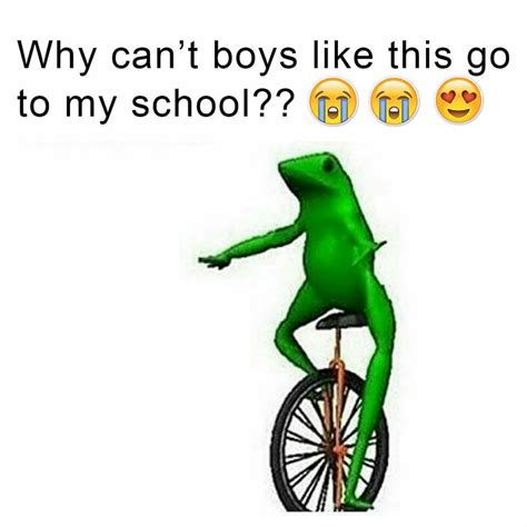 Harvey steve funny memes potato gamerpic head meme xbox 1080 profile hello into relevant face faces anime gamer trump hilarious. Image - Dat boi school.png | He-Gabe Wiki | FANDOM powered ...