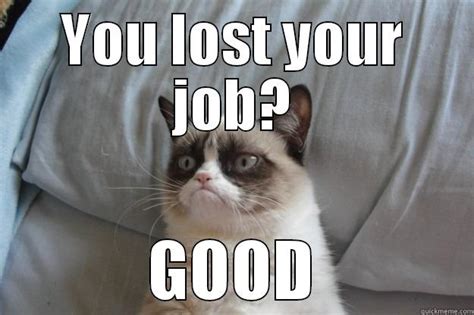 Enjoy the meme 'great job einstein' uploaded by yewbassturd. Grumpy Cat Good Job Meme - Grumpy Cat