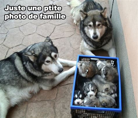 This is dsdsdsdsd's music collection on bandcamp. Photo de famille