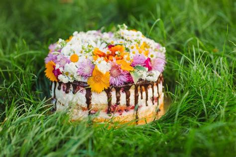 Mit den pflanzen kann man nicht nur tee, limonade und. Nackter Kuchen Verziert Mit Blumen Auf Dem Gras Stockbild ...