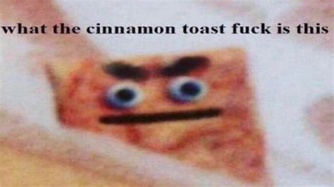 Our database has everything you'll ever need, so enter & enjoy What the Cinnamon Toast Fuck Is This | Know Your Meme