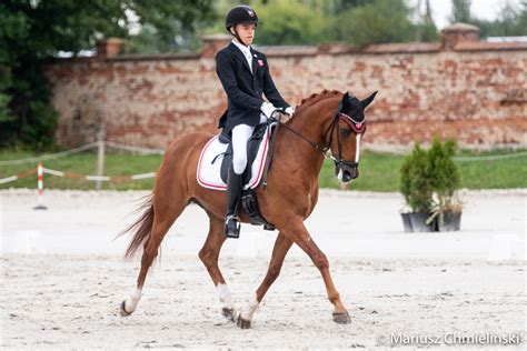 Und isabell werth, die silbermedaille um den hals, ihre zwölfte olympiamedaille, verabschiedet ihr herzenspferd bella rose aus dem sport. Nochmal EM-Bronze für Shona Benner, glücklose ...