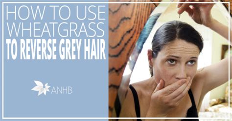 The nutrition of wheatgrass 8. How to Use Wheatgrass to Reverse Grey Hair - Updated For 2018