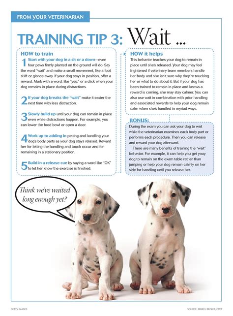 Fear free visit to the vet - tip #3 - dvm 360 #dogs | Dog ...