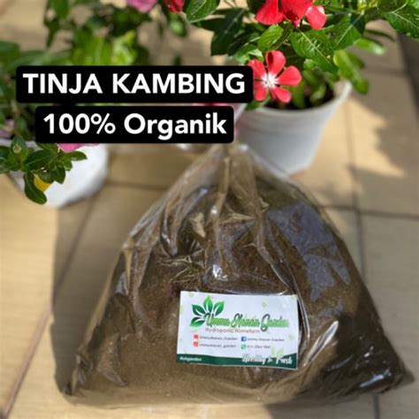 Kelebihan baja tahi ayam lebih cepat terkompos dan mudah larut apabila kena air jadi nutrient akan mudah diserap oleh pokok. Cara Membuat Baja Organik Dari Tahi Kambing