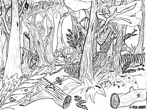 The rainforest is a living place and full of colorful animals, let's paint. Rain Forest Trees Coloring Page - Coloring Home