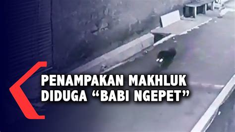 Babi ngepet ditangkap warga jakarta utara. Penampakan Makhluk Diduga Babi Ngepet di Sukmajaya Depok ...