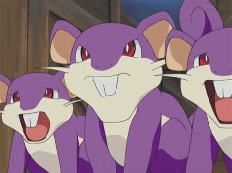 Imagen - EP276 Rattata.png | WikiDex | FANDOM powered by Wikia