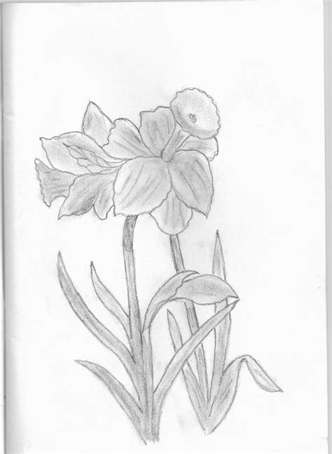 Mai 24, 2013.timp de lectură mai puțin de 1 minut. desene: flori...