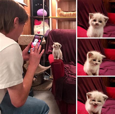 I'm currently using two cameras: Kitten smiles for the camera
