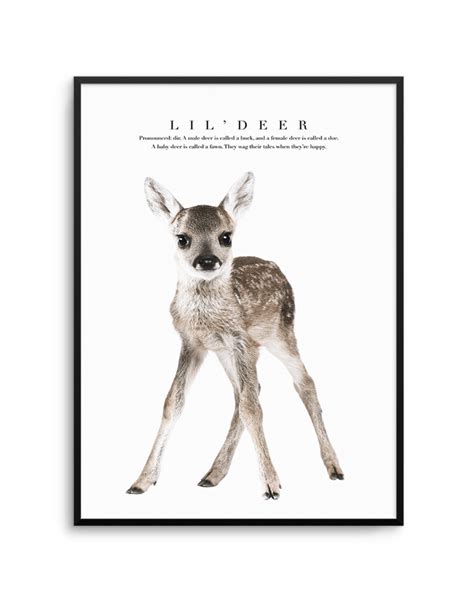 Lil' Deer | Kids art prints, Poster prints, Coastal prints