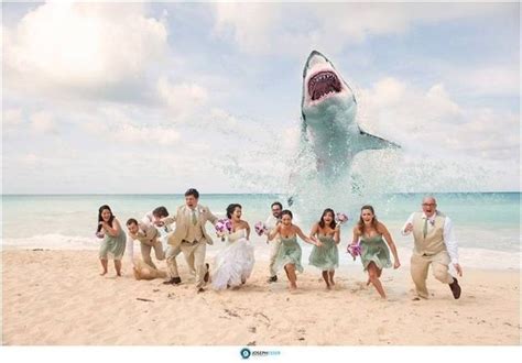 Funny picture made in different ways like in the gents hall boys kissing to groom, kidding ways and by adopting different 10. The twist. | Wedding humor, Funny wedding photos, Beach ...