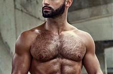 hairy hunks scruffy beards bearded shirtless muscles males ripped hunk