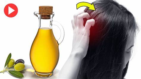 Olive Oil As Gray Hair Remedy Fact Or A Myth
