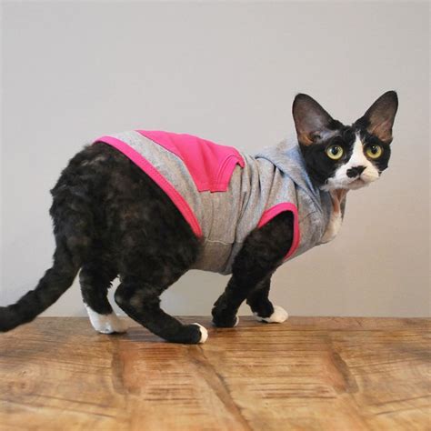Cat Clothes | Cat Clothing | Clothes for Cats | Cat-toure | Devon Rex Clothes and Sphynx Clothes