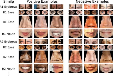 For example if i said, i like pizza. i am expressing a preference for pizza not. Similes for Training: Each simile classifier is trained ...