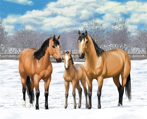 Referring to a color that resembles certain shades of tanned deerskin. Most Important Facts On Buckskin Horse For You