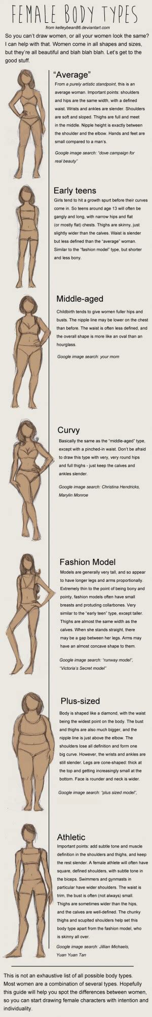 Most women generally have ample. Comic Art Reference - Female Body Types