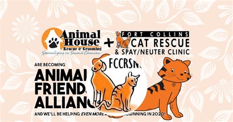 Fort collins cat rescue opening hours. Fort Collins Cat Rescue & Spay/Neuter Clinic | Every.org