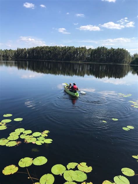 Campsites with electricity and water (potable) for. Kayaking at Lake Louisa State Park, Florida #kayaking # ...