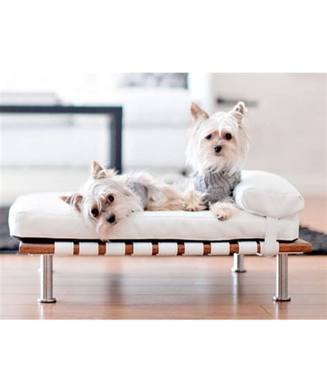 Check spelling or type a new query. Glamorous Pet Accessories | Designer dog beds, Dog beds for small dogs, Baby dogs