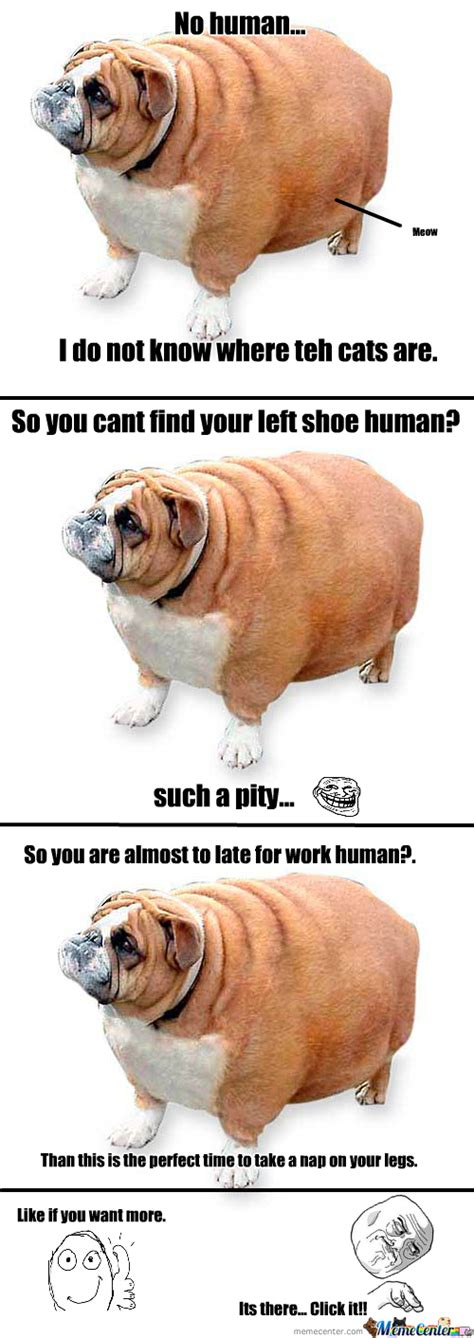 My dog is in shape unfortunately its the wrong one. Fat Dog Meme : Give Me I M Lovin It More Mcdonalds Fat Dog ...