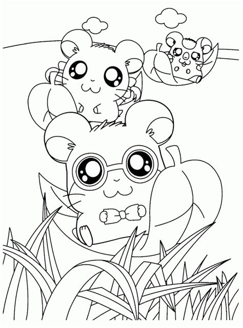 There are more than 1,400 species in the rodent fam… Hamster Coloring Pages For Kids - Coloring Home