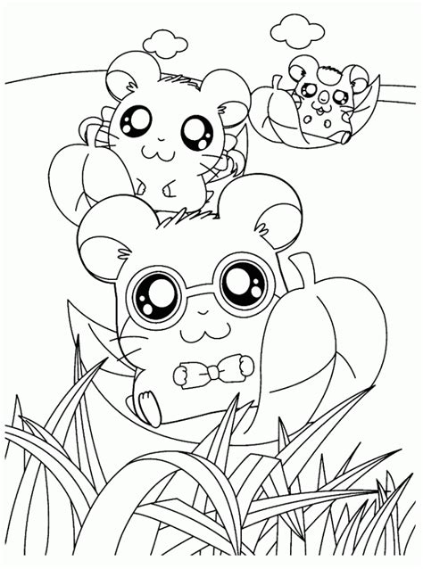 Select from 35970 printable coloring pages of cartoons, animals, nature, bible and many more. Hamster Coloring Pages For Kids - Coloring Home