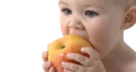 Ab wann habt ihr euren kindern so brötchen oder hörnchen oder ähnliches zu essen gegeben? Richtige Ernährung bei Kleinkindern