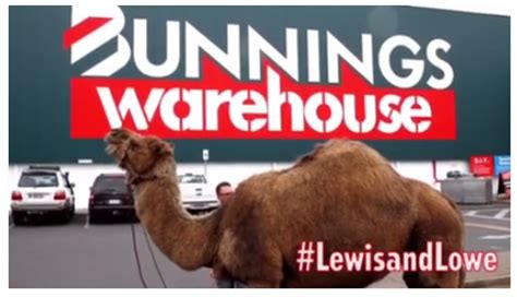 What is the southwest airlines pet policy? Bunnings New Pet Policy Tested