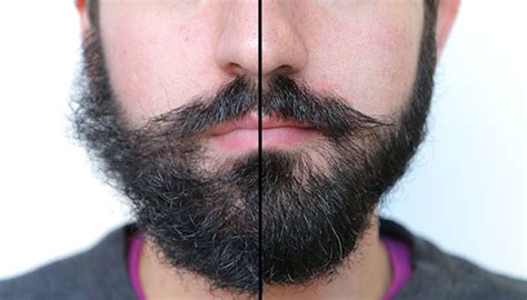 The stubble beard ticks all the beard boxes of smart beard styles. How to Grow a Thicker Beard - The Four Week Beard Rule ...