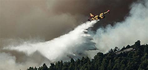 Jul 05, 2021 · υπό πλήρη έλεγχο τέθηκε στις 08:00 το πρωί της δευτέρας η πυρκαγιά που εκδηλώθηκε το σάββατο, 3 ιουλίου 2021 και ώρα 13:50 στην κοινότητα αρακαπά και επεκτάθηκε στις κοινότητες επταγώνιας, ακαπνού, οράς, μελίνης, συκόπετρας. Ξέσπασε πυρκαγιά στο Πετρωτό Δομοκού