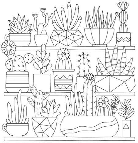 13 Best Succulent & Cactus Coloring Books & Pages ...